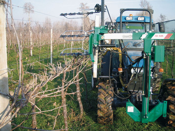 2 or 3 bars system for dry pruning